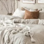 15 överraskande varningsflaggor innan du köper 2026 års bästa säng i Skandinavien